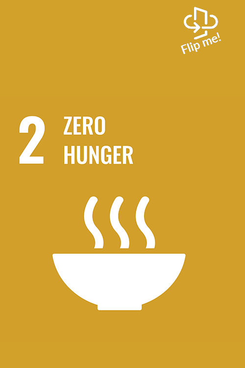 SDG 2: End hunger, achieve food security, and improve nutrition with sustainable agriculture with Lakanto.